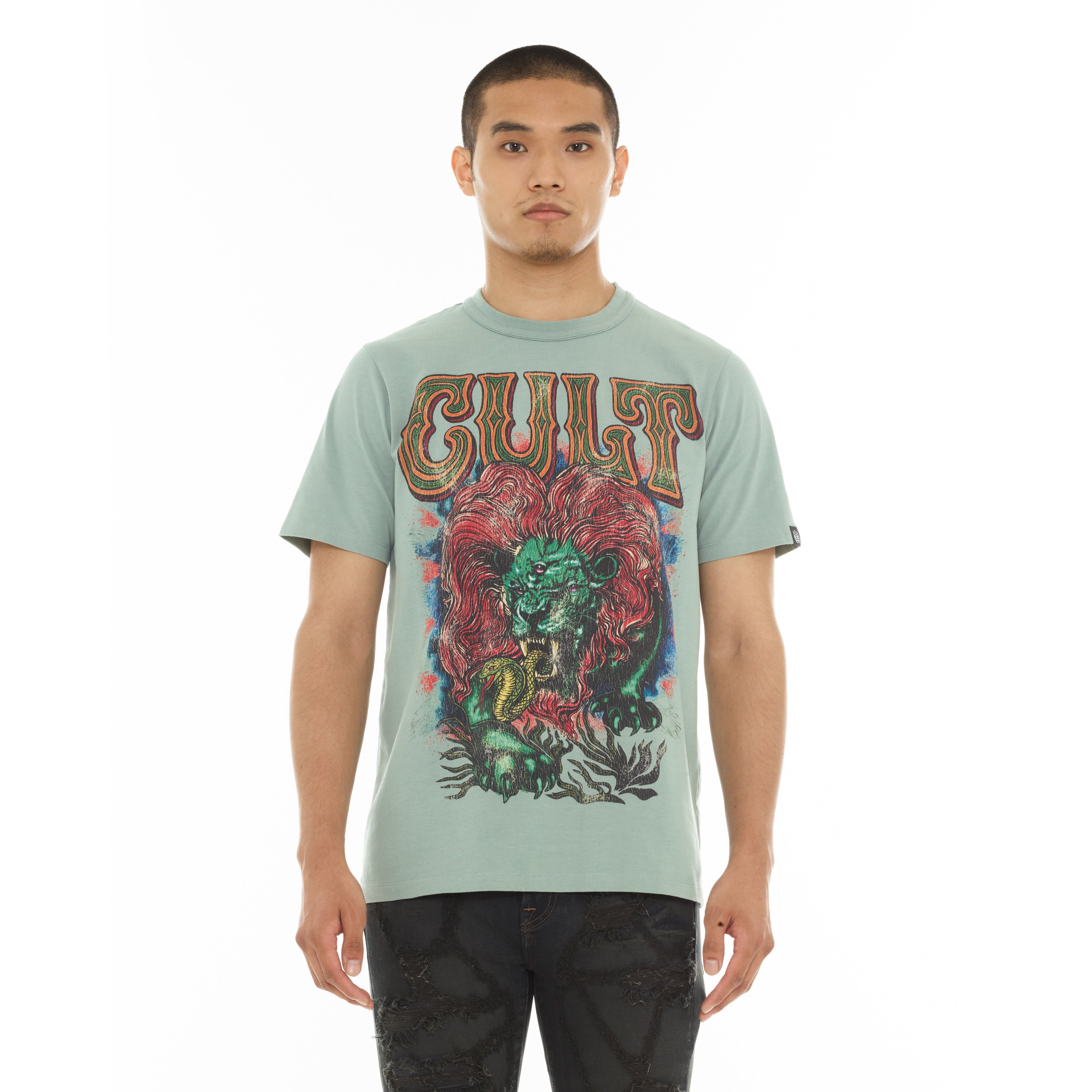Lion T-Shirt - Granite Green