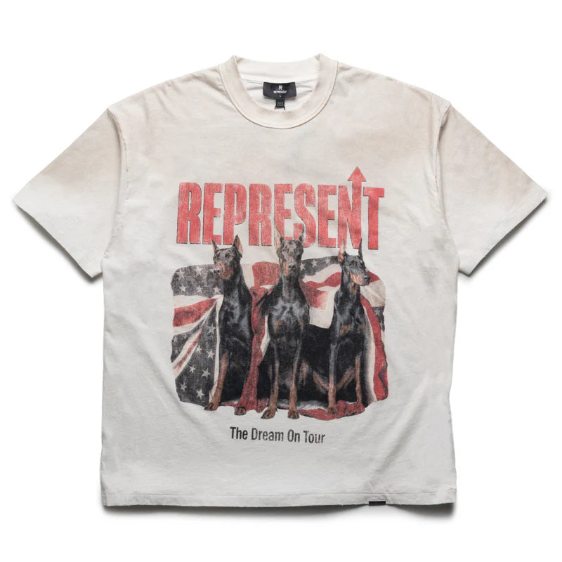 Dream On Tour T-Shirt - Washed Ercu