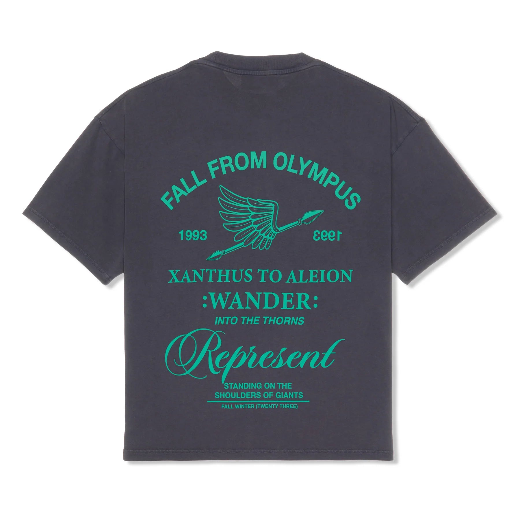 Fall From Olympus T-Shirt - Storm