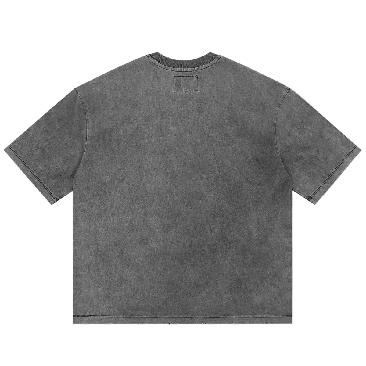 Freedoms Protocol T-shirt NG - Grey Wash