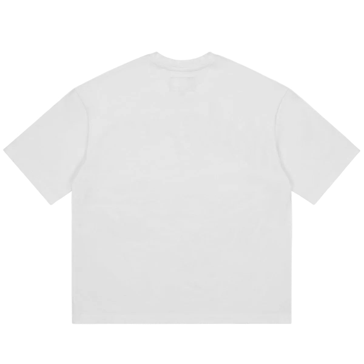 Freedoms Protocol T-shirt NG - White