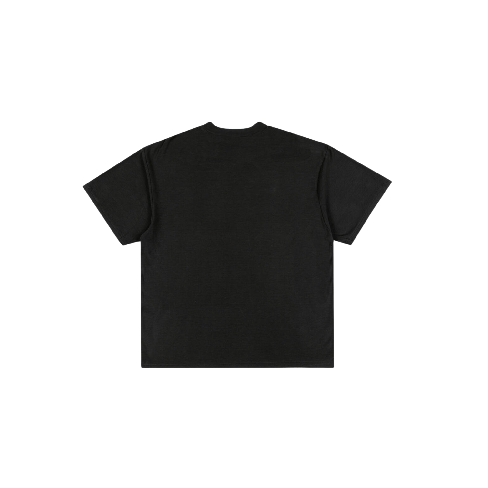 Journey Within T-Shirt - Vintage Black