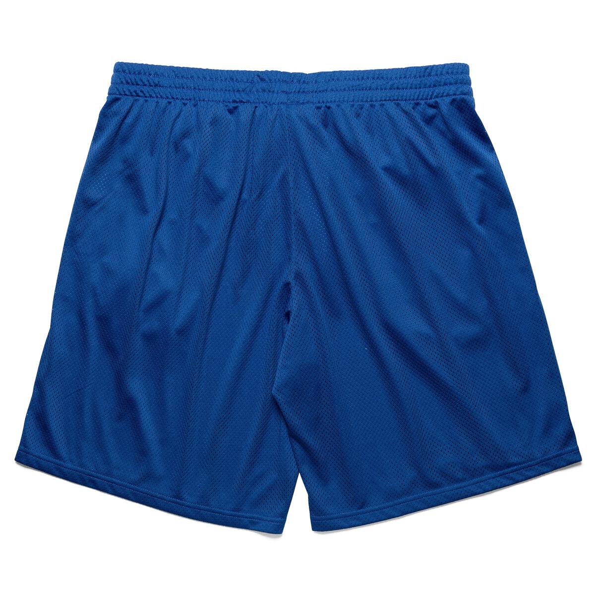 Mesh Shorts - Royal